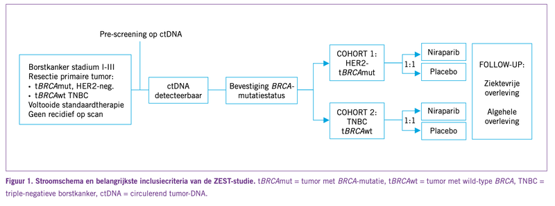 Afbeelding ZEST-studie 2022