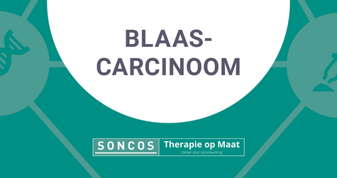 Banners_Soncos_Blaas_zonder ikoon