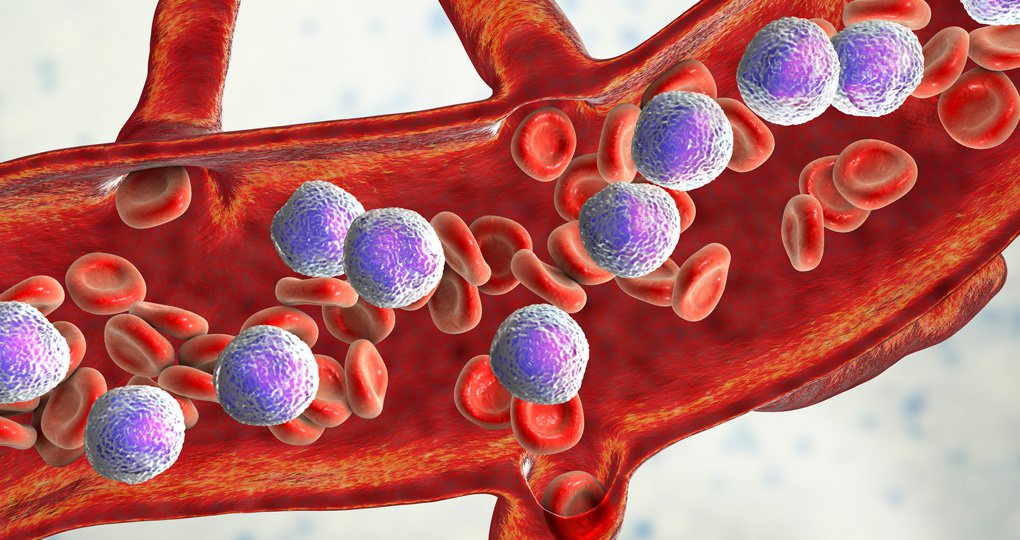 Bloed, hematologie