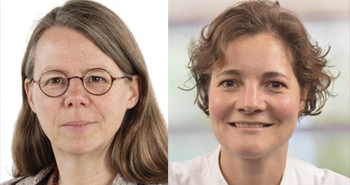 Jolanda van Dieren, Andra Neefjes-Borst, immuno 2017