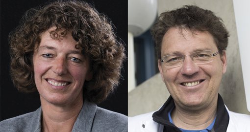 Arjan van de Loosdrecht, Sandra van Wetering, immuno 2017